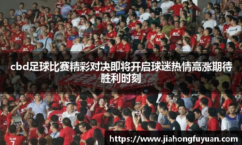 博鱼官方网站
