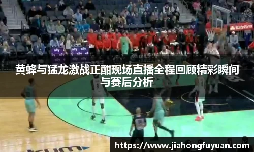 黄蜂与猛龙激战正酣现场直播全程回顾精彩瞬间与赛后分析