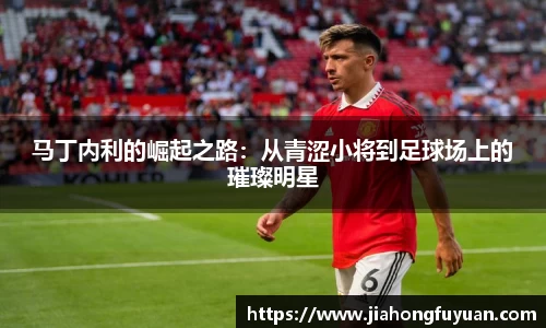 马丁内利的崛起之路：从青涩小将到足球场上的璀璨明星